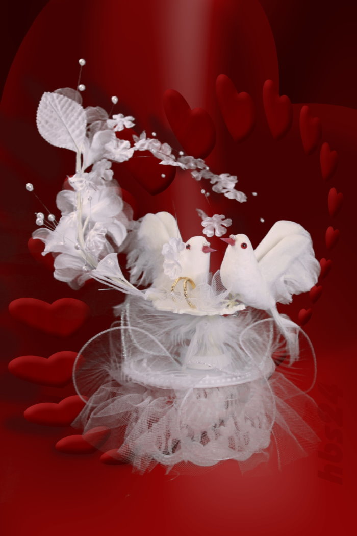 hbs24 - Taubenpaar mit Ringen auf Podest, Blumen und Perlen dekoriert